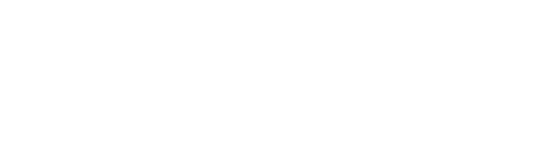 Pakistanio