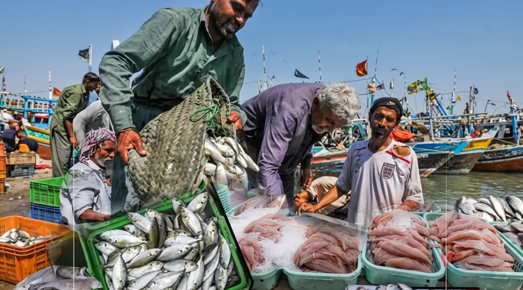 Frozen Fish and Seafood Products Drive Export Growth