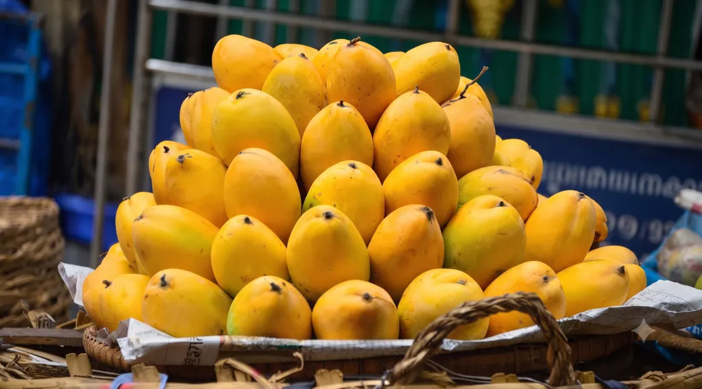 Pakistan’s Finest Fruit Takes Center Stage