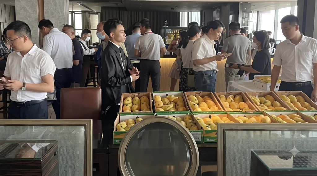 Pakistan’s Premium Mangoes Take Center Stage