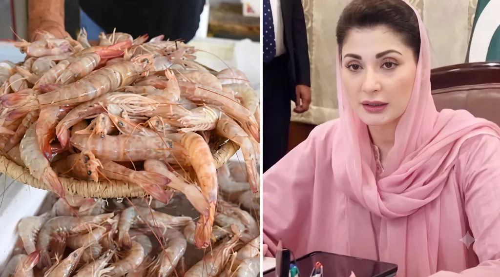 Punjab Introduces Paid Internship to Build Aquaculture Talen