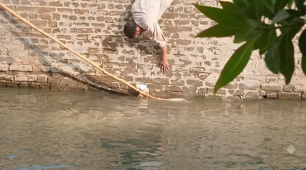 A Difficult Rescue That Inspired Millions
