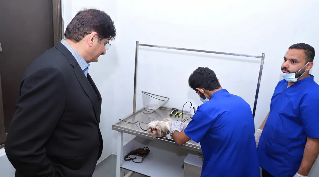 A Modern Hospital for Pets