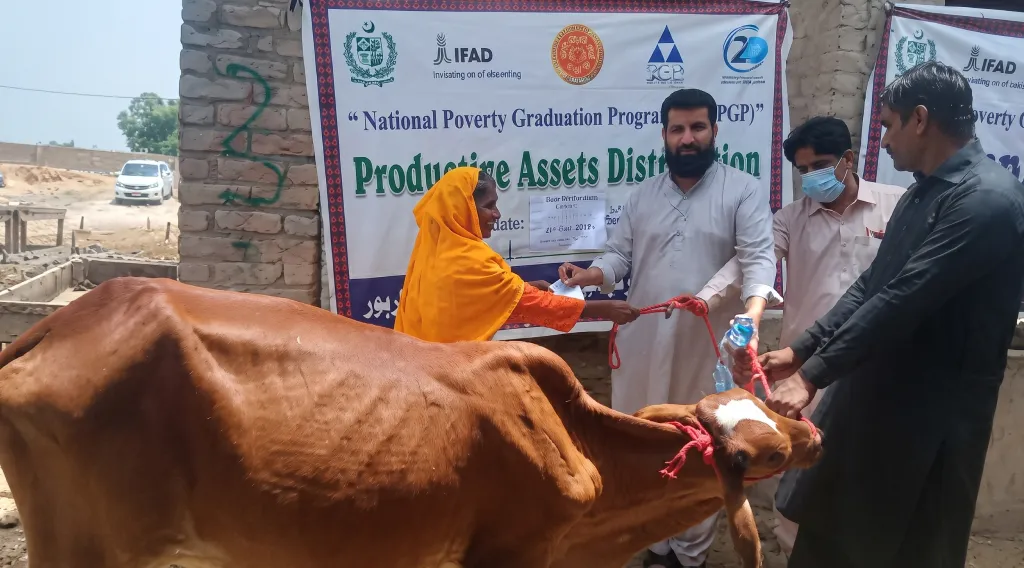 Livestock Distribution Creates Sustainable Incomes