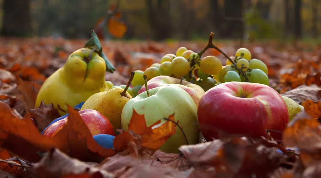 Autumn Brings a Change to the Plate